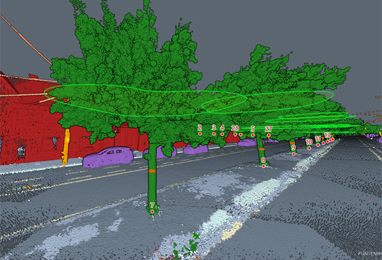 Teccon_mobilemapping_viewer_geclassificeerde-puntenwolk_bomeninventaris